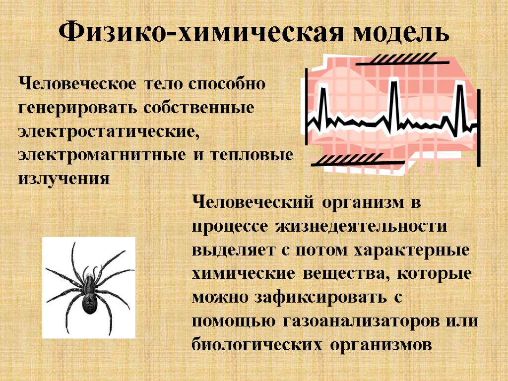 Физико-химическая модель Человеческое тело способно генерировать собственные электростатические, электромагнитные и тепловые излучения Человеческий организм